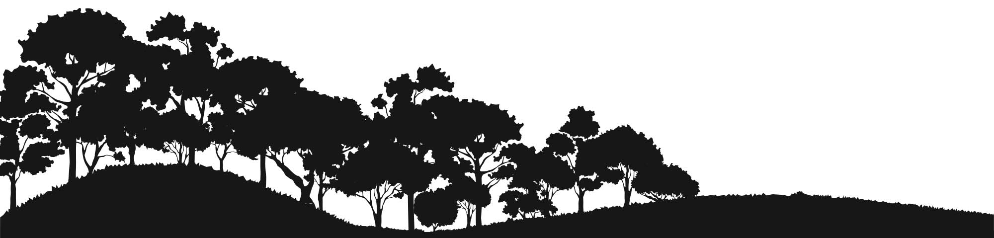 Row-trees.jpg