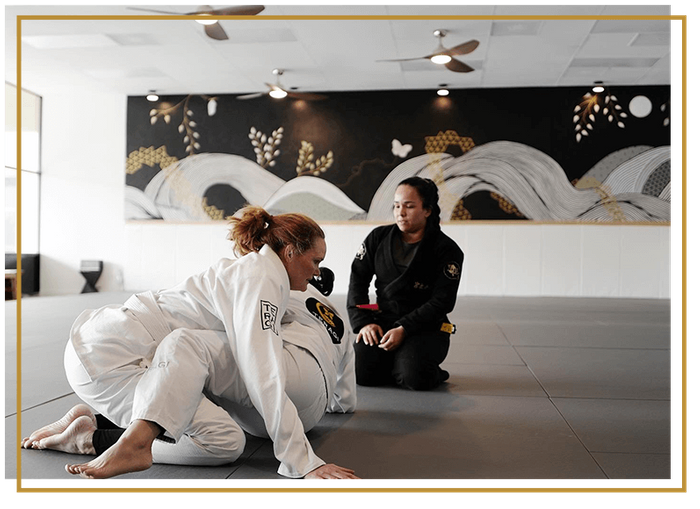  practice Jiu Jitsu