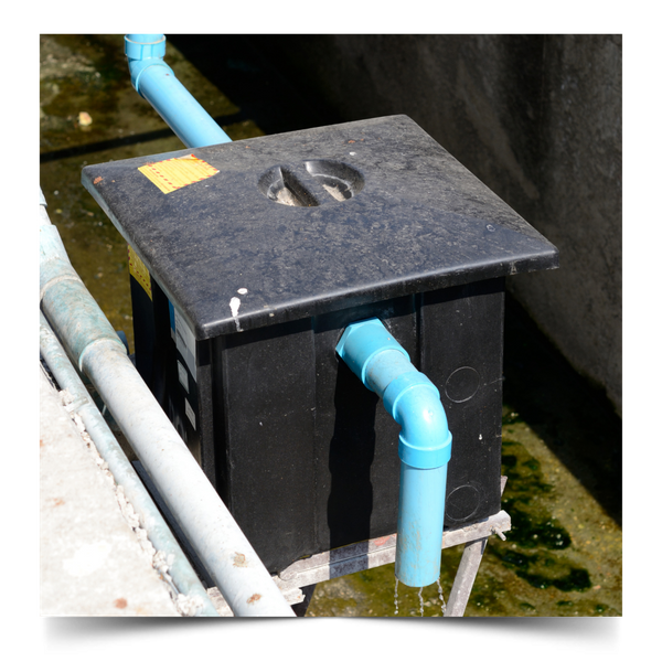 grease trap services. 