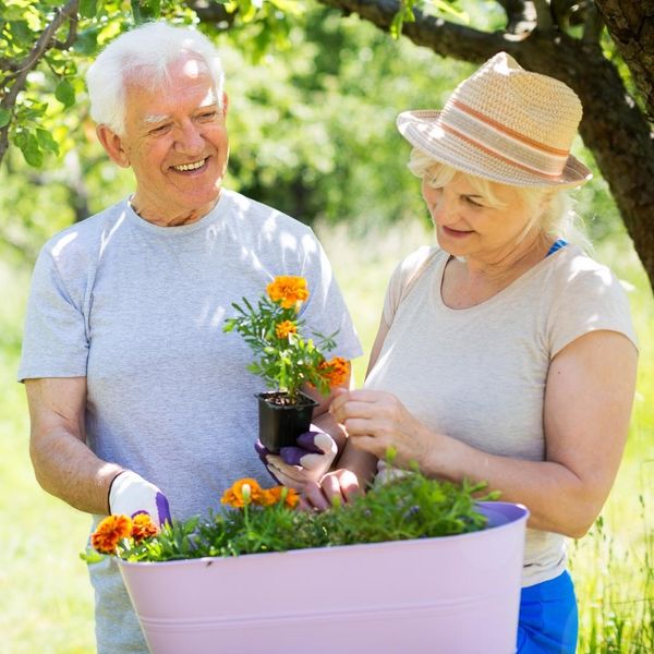 Image of seniors gardening