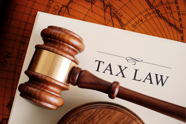 The Benefits of Professional Tax Preparation Services vs. DIY Filing - 1.png