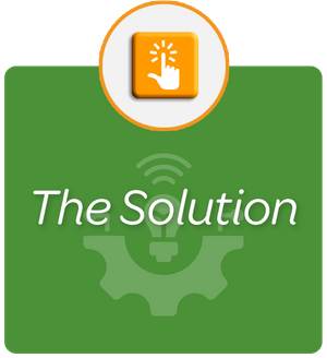 The Solution The Solution