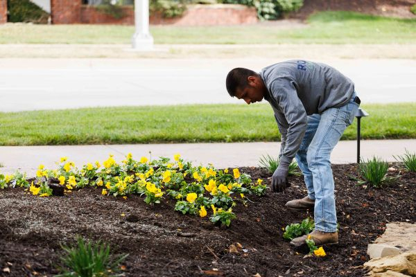 Landscaper planted flowers