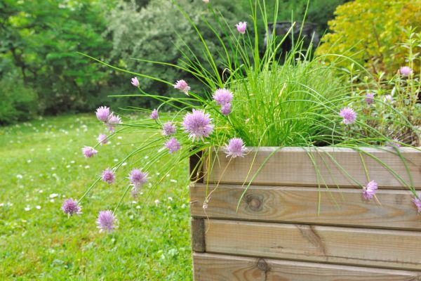 Raised planter bed