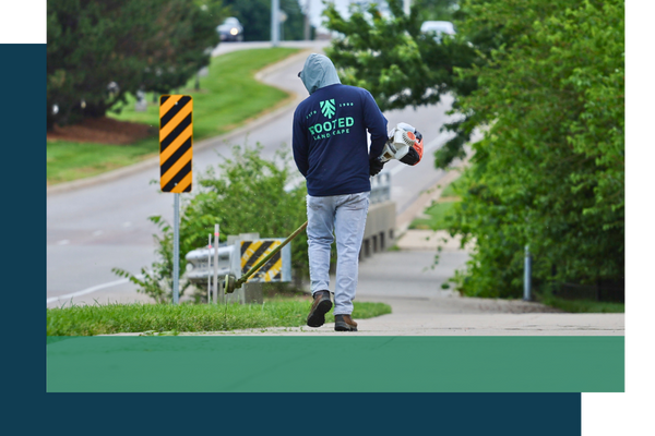 Rooted landscaper using a weed whacker