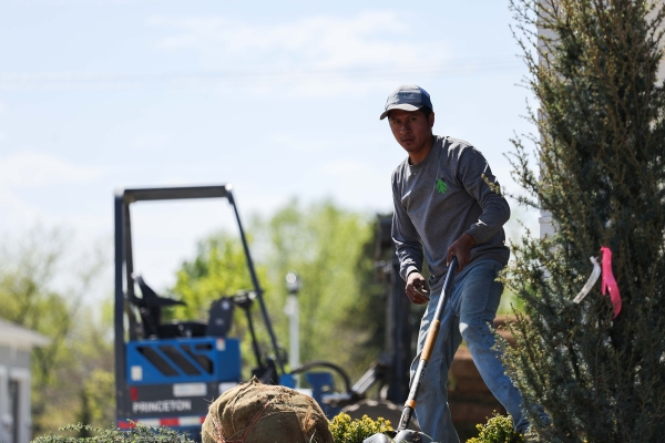 Landscaper digging up a lawn