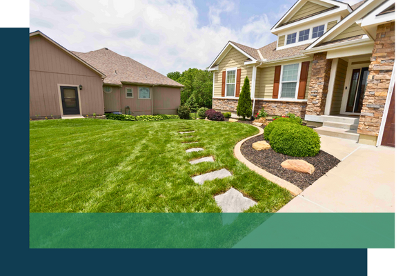Well-groomed lawn