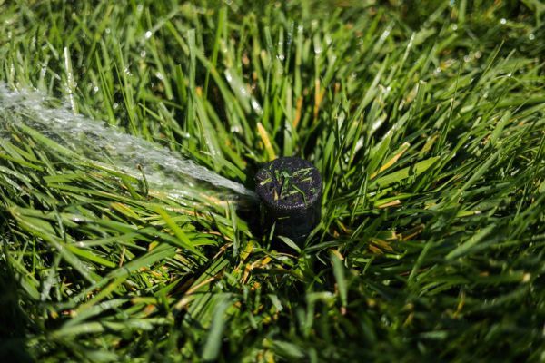 Sprinkler in grass