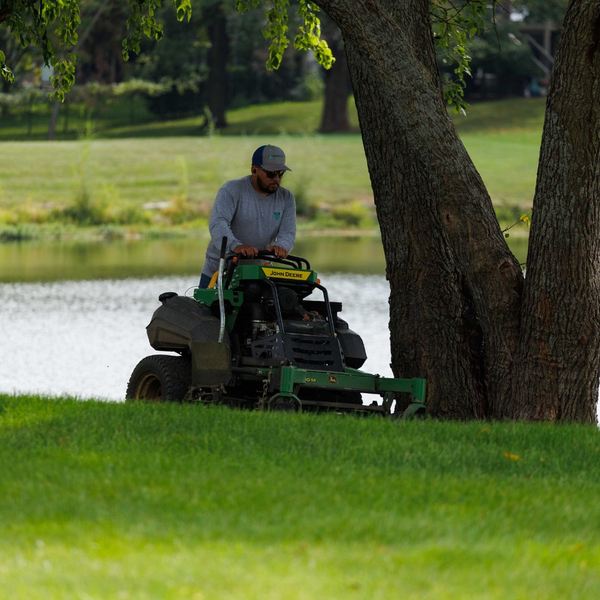 New Image - Yard - Mowing.jpg