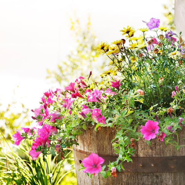 New Image - Hardscaping - Raised Planters.jpg