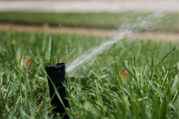 Sprinkler in grass