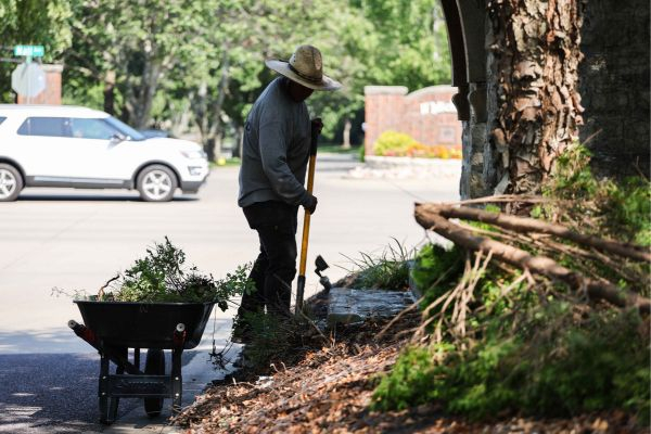 Landscaper digging up weeds