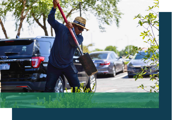 Rooted landscaper using a shovel