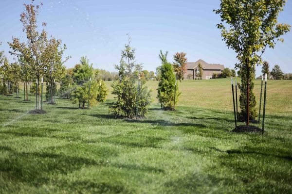 Sprinkler system
