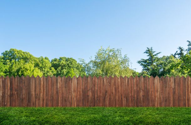 iStock-1255936061.jpg