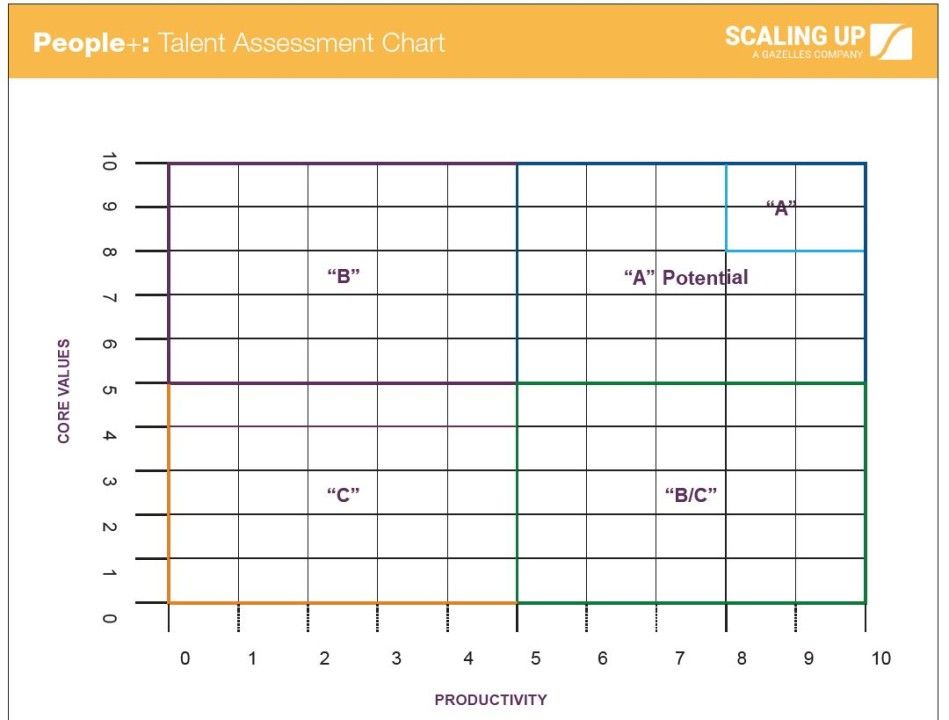 Unlocking the Power of Talent Assessment -A Guide for Business Leaders.jpeg