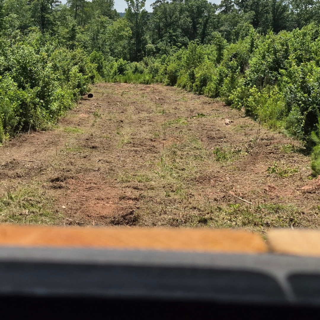 Habitat Solutions - Cleared Land After