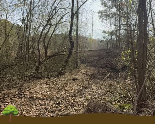 Wildfire barrier