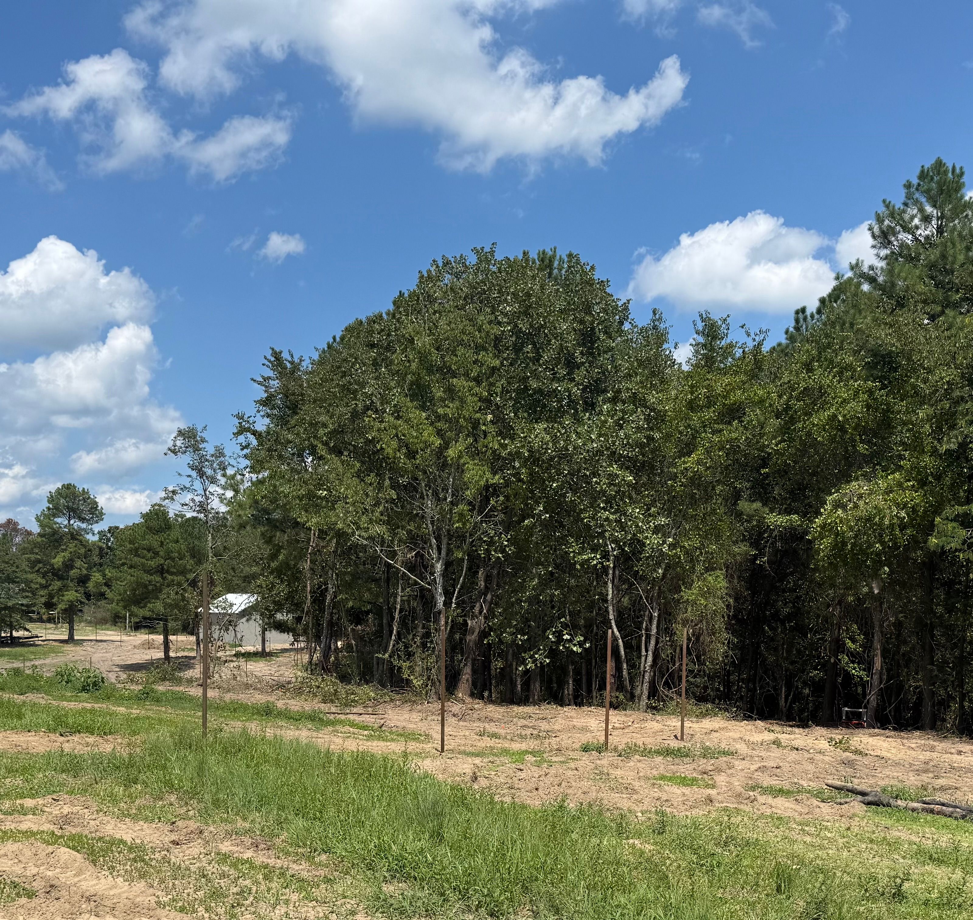 Habitat Solutions - Cleared Fence Line and Selective Thinning After