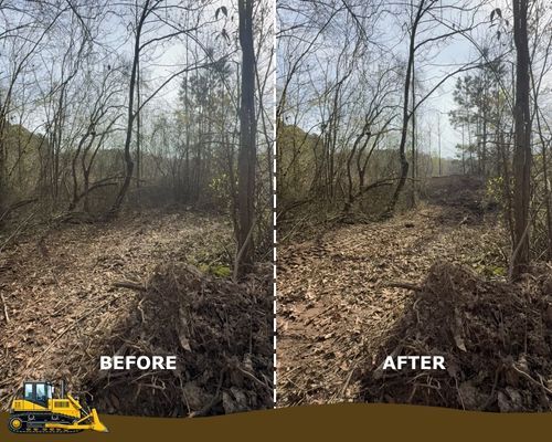 LandClearing-1.jpg