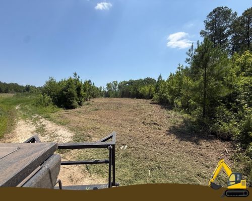 Open forestry on a residential property