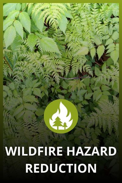 Wildfire Hazard Reduction Wildfire Hazard Reduction