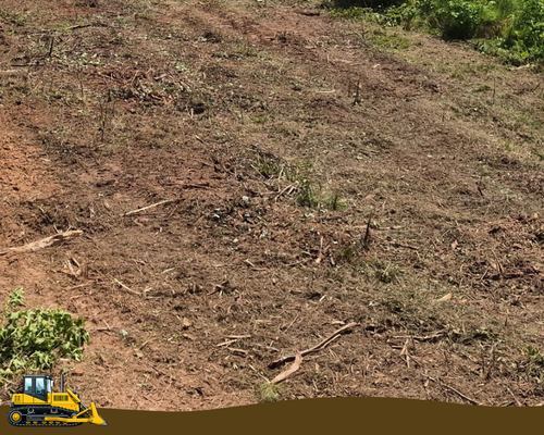 Mulching-1.png