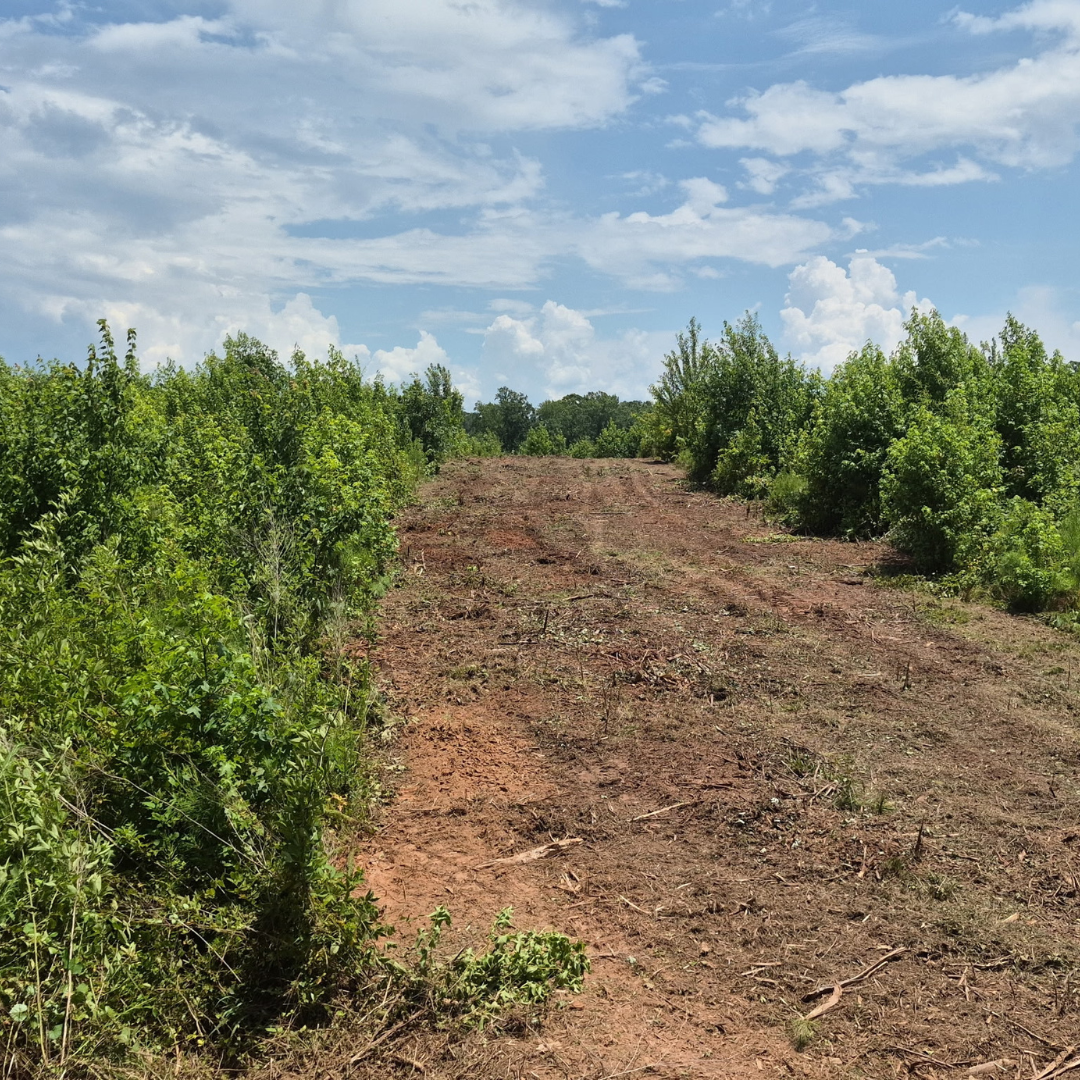 Habitat Solutions - Cleared Land After