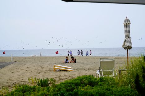 DSC08364.JPG