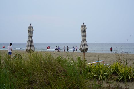DSC08361.JPG