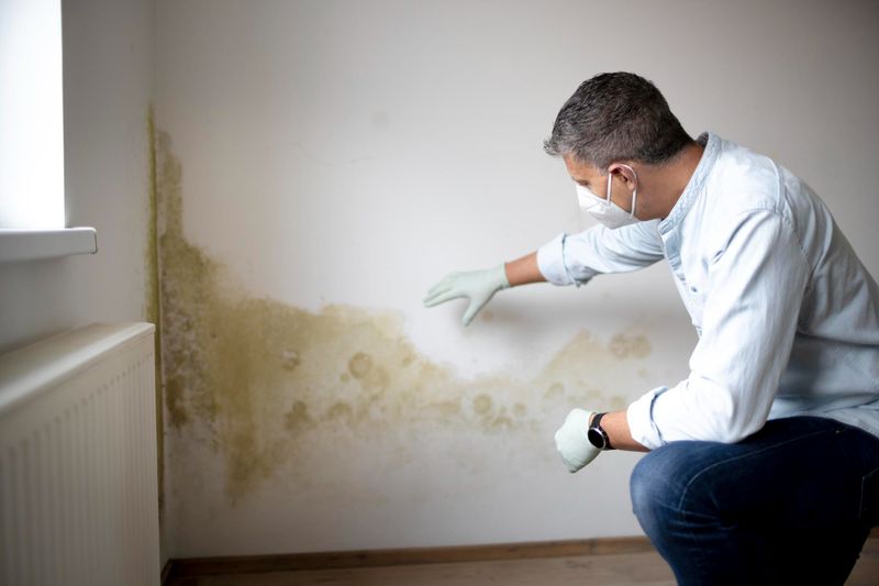 mold.jpg