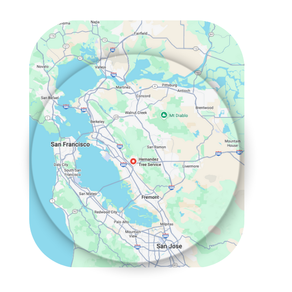 Areas We Serve 1 (1).png