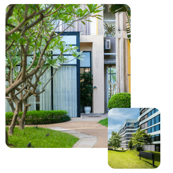 A peaceful exterior courtyard with a stunning yellow-flowering tree, green grass, and hedges next to a pathway leading to a modern building with large glass windows and curtains. 