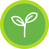 plant icon