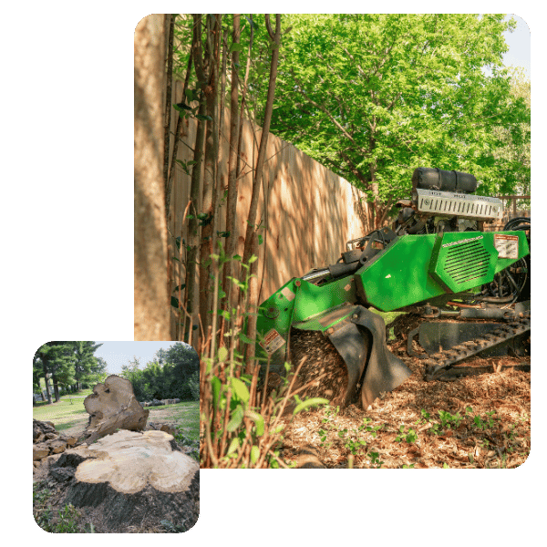 stump removal machine and proccess