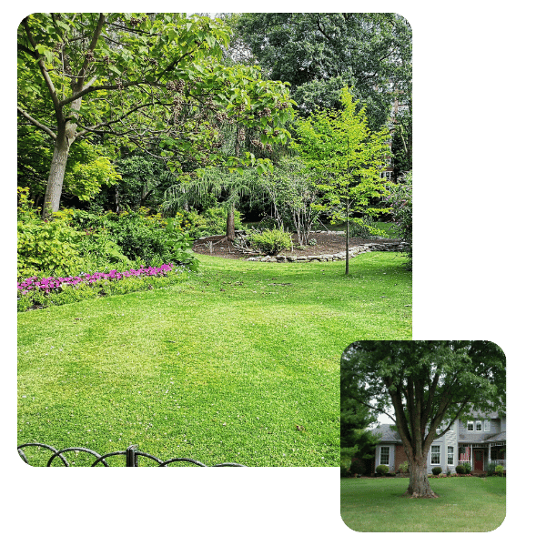 a nicely landscaped yard