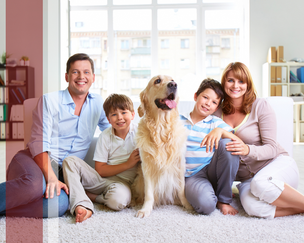 A happy family sitting on the carpet of their living room with their doc