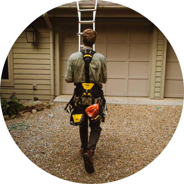 Image of a worker bringing a ladder to a roof