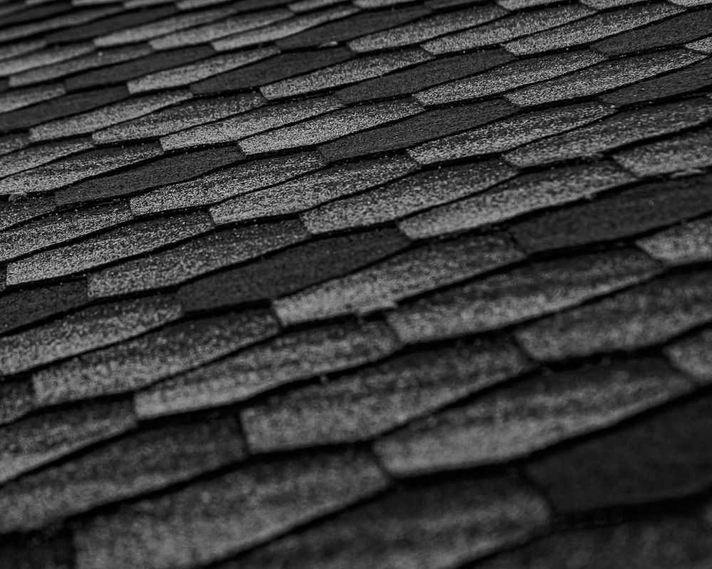 close up of shingles 