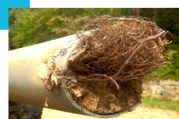 Onalaska Sewer Camera Inspections (3).png