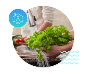 WashingVeggies.jpg