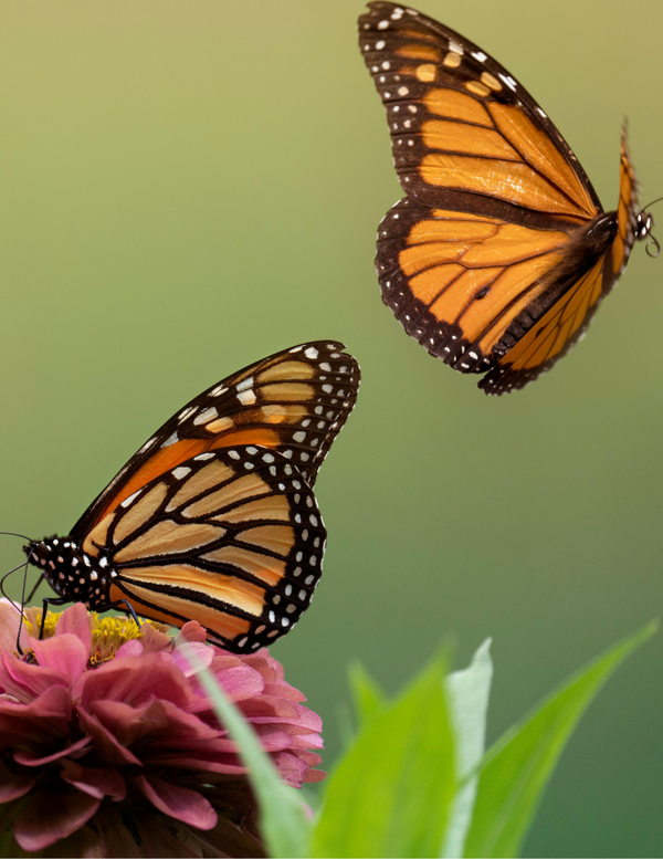 Copy of blog copy 10 (1).png