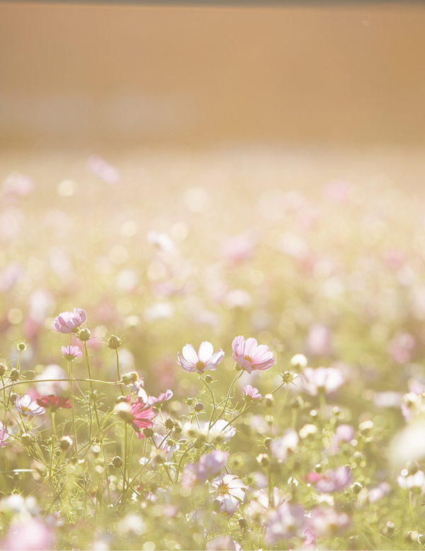 blog photo 6 (1).png