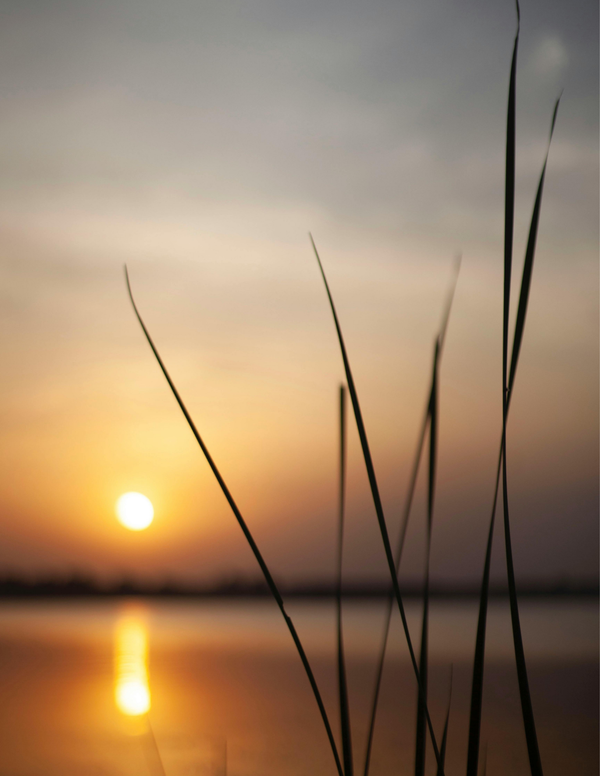 Copy of book blog (4).png