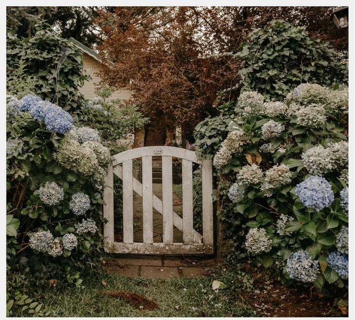 The Art of Designing Unique Pedestrian Gates for Your Property - 3.jpg