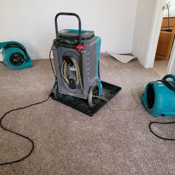 drying and dehumidification after water damage