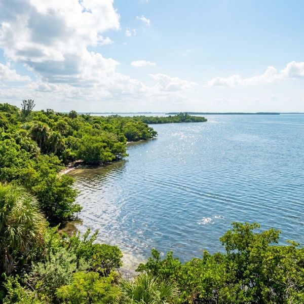 Vibrant green coastal plants frame the clear blue waters along the South Florida coastline.