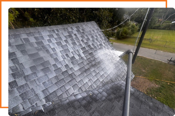 Roof Rejuvenation Sprayer