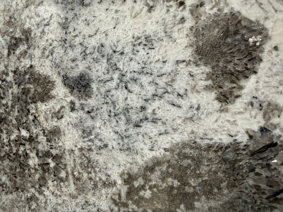 Alpine White 25091502W 1.jpeg