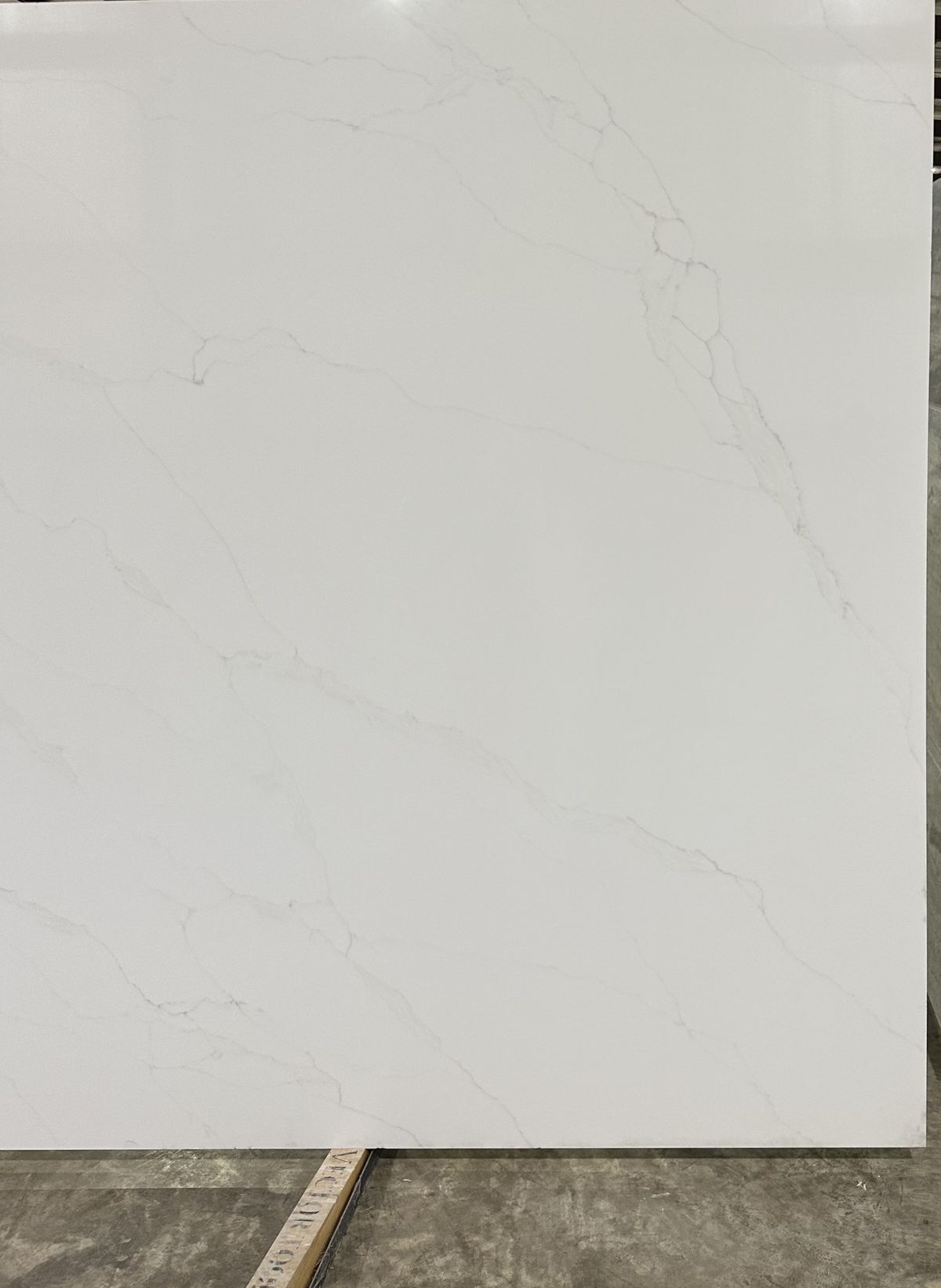 Calacatta Platinum Bundle #2 3.jpg